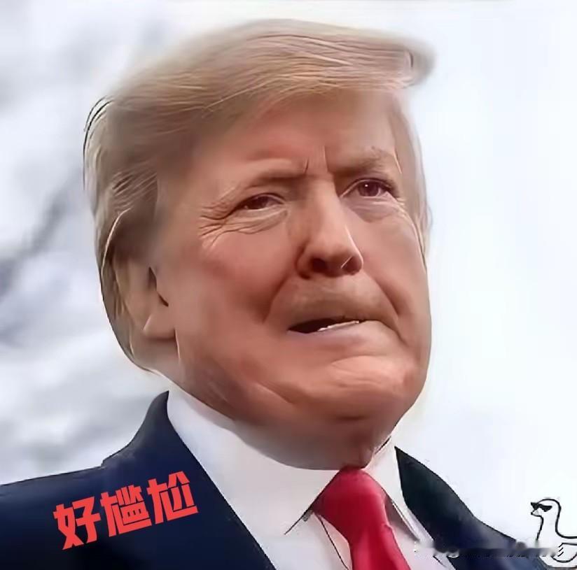 快讯   快讯
全美700万人走上街头抗议特朗普，反对特朗普政府强硬政策，有抗议