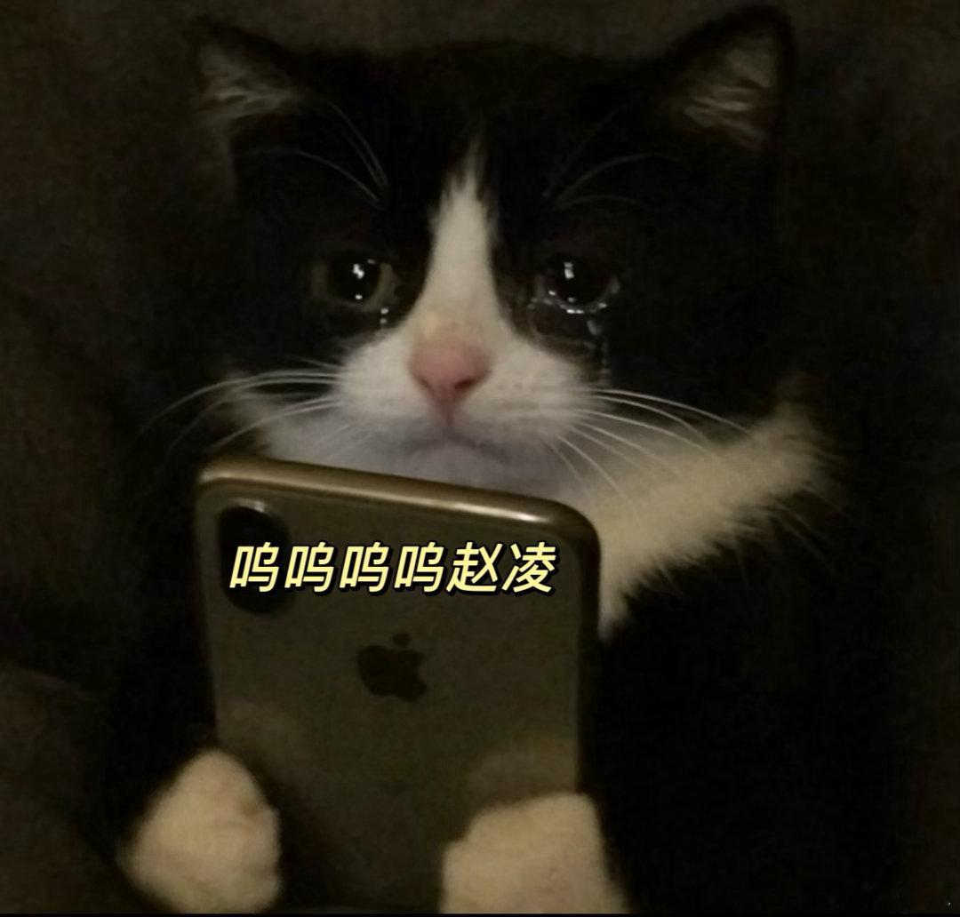 赵凌雨中下跪求娶傅庭芸花开锦绣谁能扛住这场大雨里的名场面！朝堂上是杀伐果决的虎臣