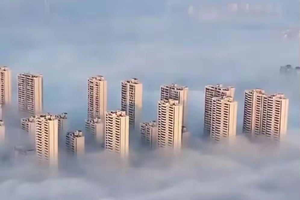 德国网友灵魂发问：世界两大“骗子国家”？真相太扎心！

    德国网友一句犀利