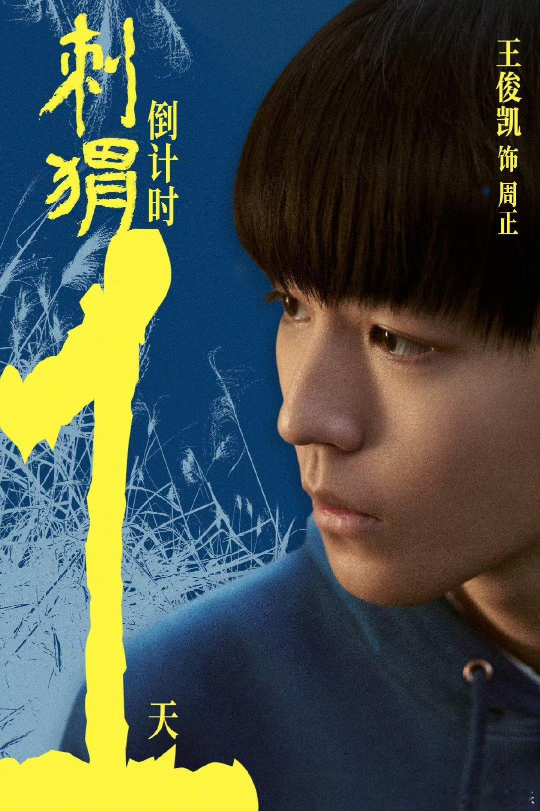 #王俊凯电影刺猬明日上映# 王俊凯电影《刺猬》距离公映还有1天！希望我们永远不缺