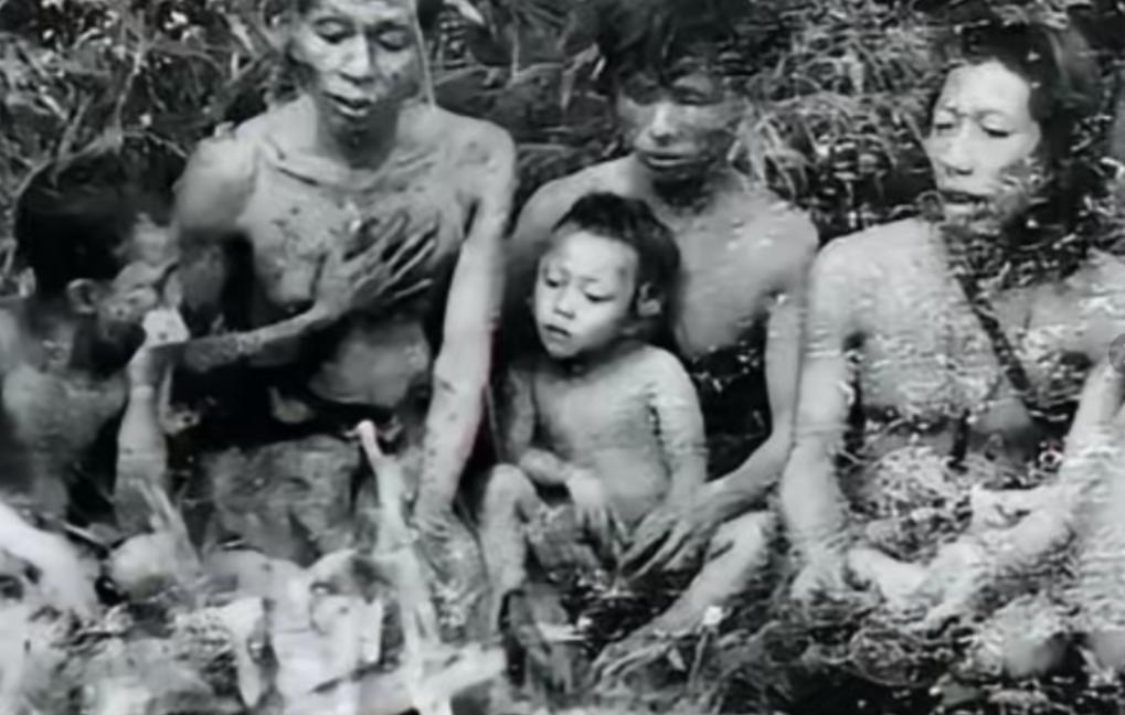 新中国成立后，解放军在哀牢山深山里发现4万几乎全裸的男男女女，调查后才发现，他们