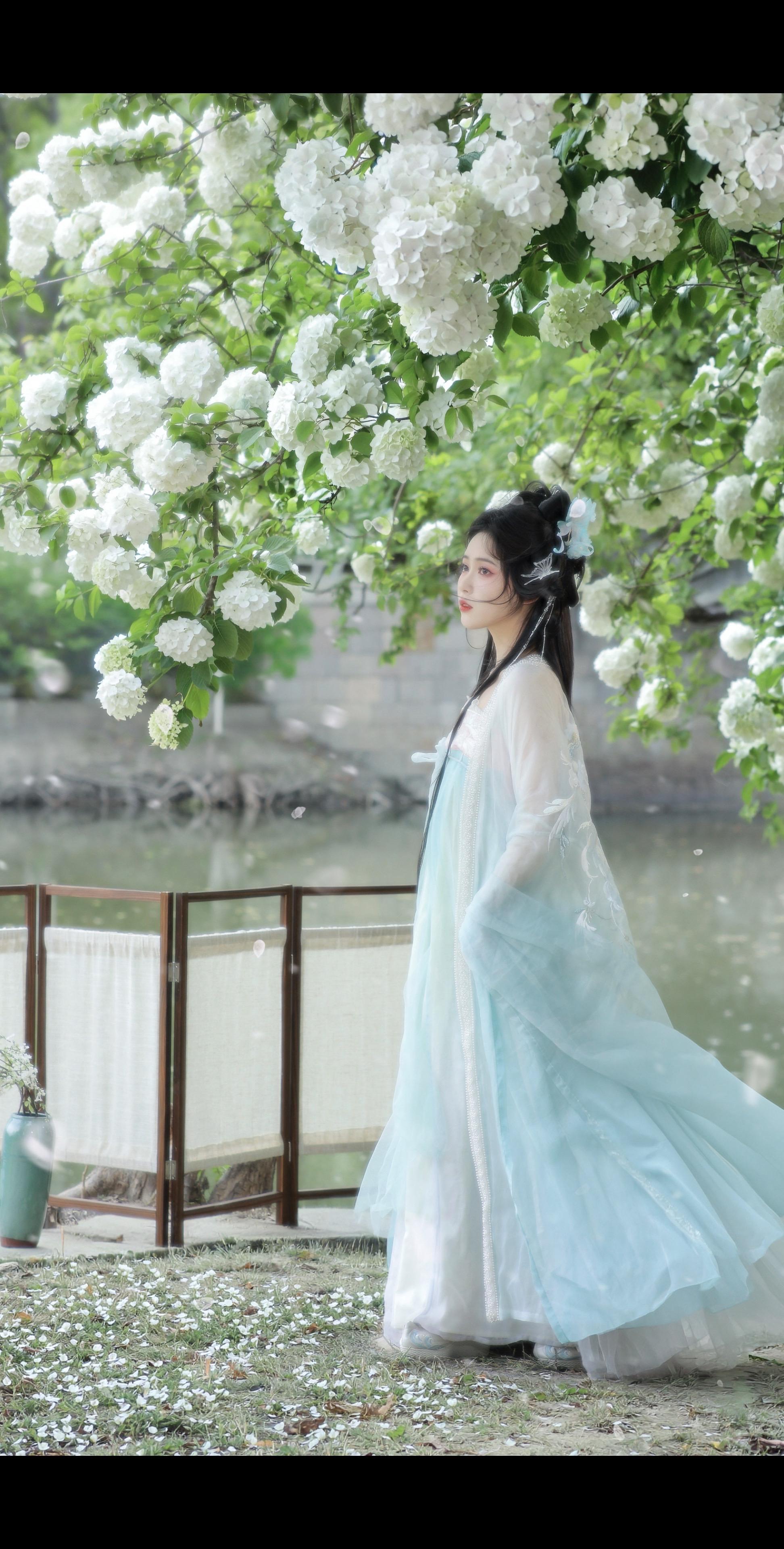 四🈷️的顶流是绣球花。