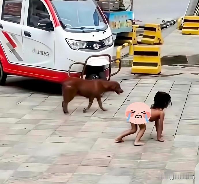 最近网上疯传的那个“野人小孩”一家，看得我真是头皮发麻！

小孩他妈绝对不对劲！
