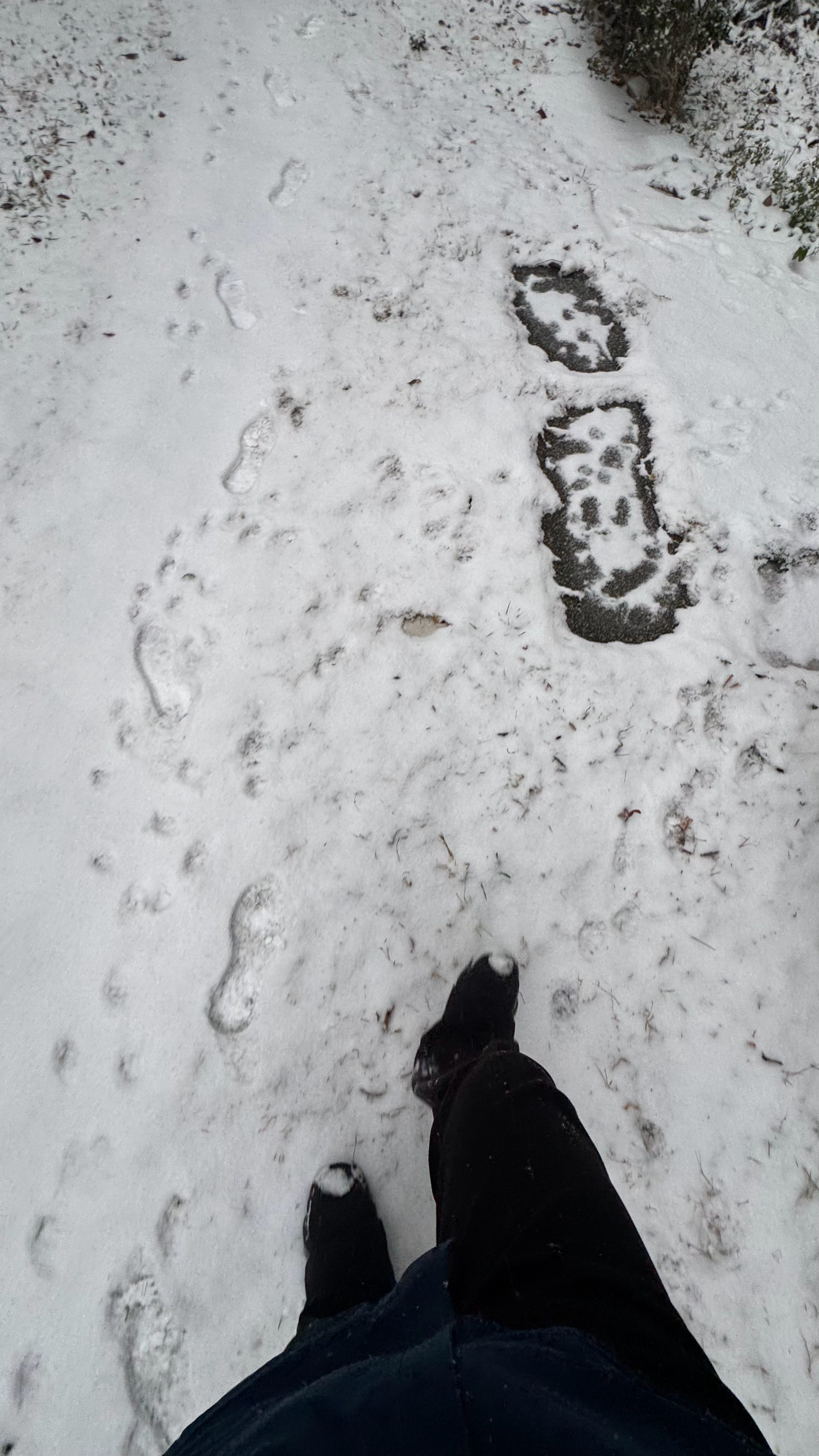 大寒南京下雪 10分钟的路程，硬生生干了50分钟。。。心累！果然迟到了！游戏博主