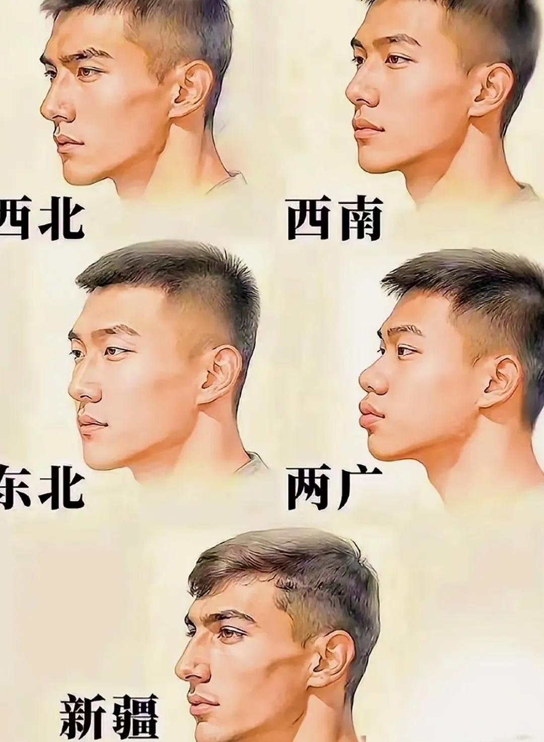 地域长相太明显了！

大家看看这个图，说的对不对

怎么没有河北，河南，安徽，江