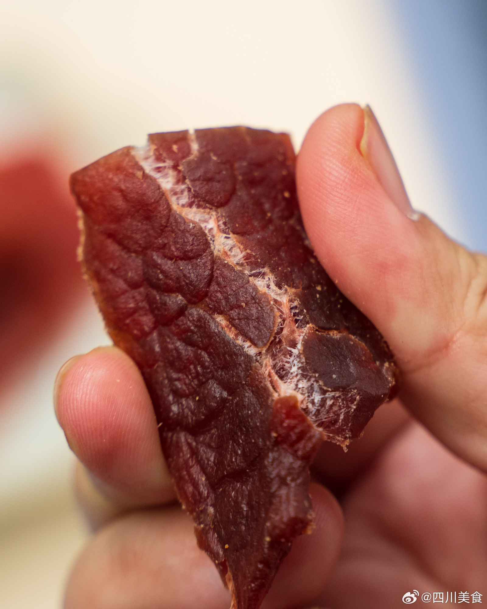 肉食控的朋友看过来，下午解馋小零食苹果木烤肉片，真的绝绝子！整肉原切更有嚼劲，不