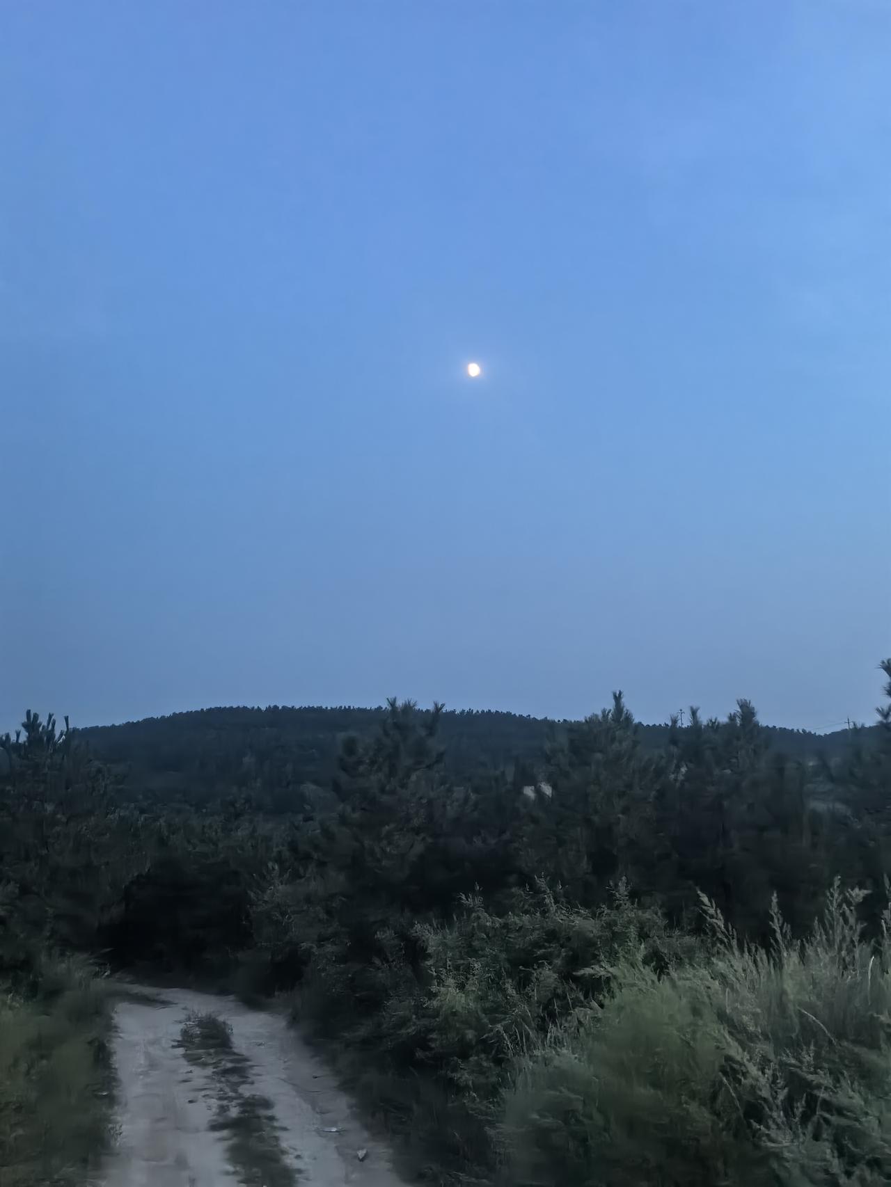 月亮高挂在山间的小路上，那场景就像给清冷的小道铺上了一层银霜，梦幻又迷人。我曾在