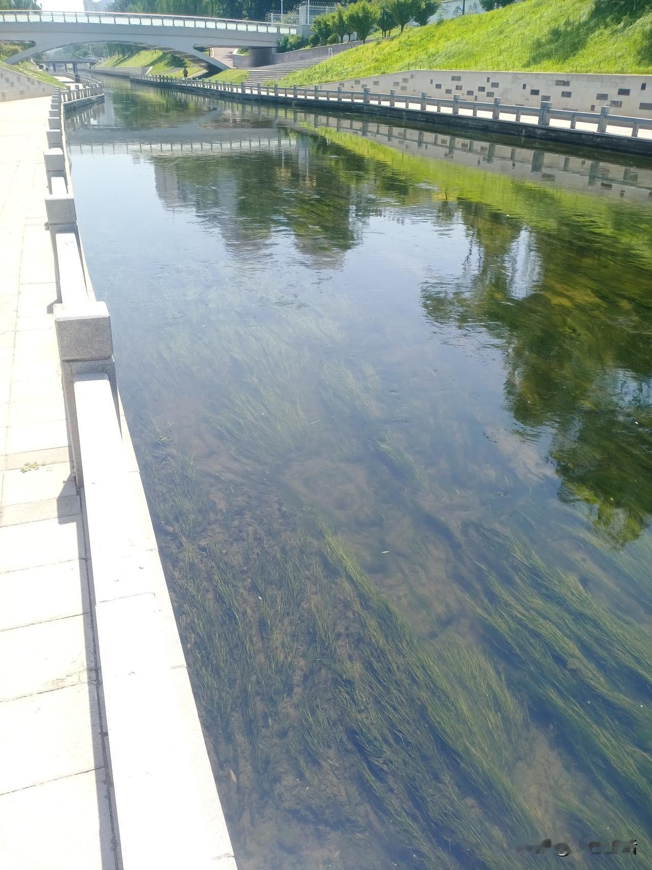 智者的共同特质都是：不将自己视为孤立的英雄，而是把自己锚定在比个人大得多的成功系