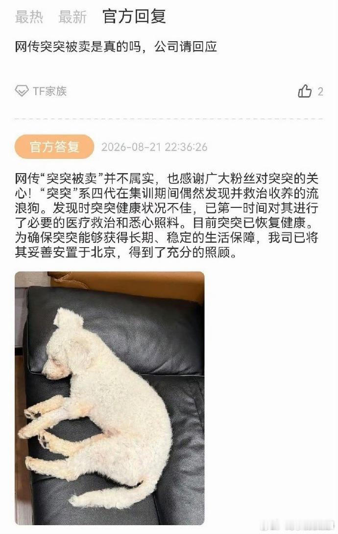 时代峰峻澄清没有弃养流浪狗时代峰峻发文回应了没有弃养流浪狗，妥善安置在了北京 