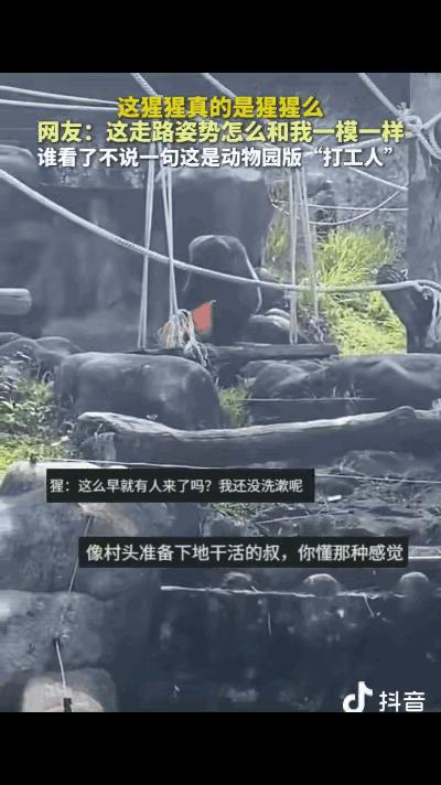 吉林一个动物园，快闭园了，游客稀稀拉拉的。突然有人喊了一声："快看那个！"镜头转