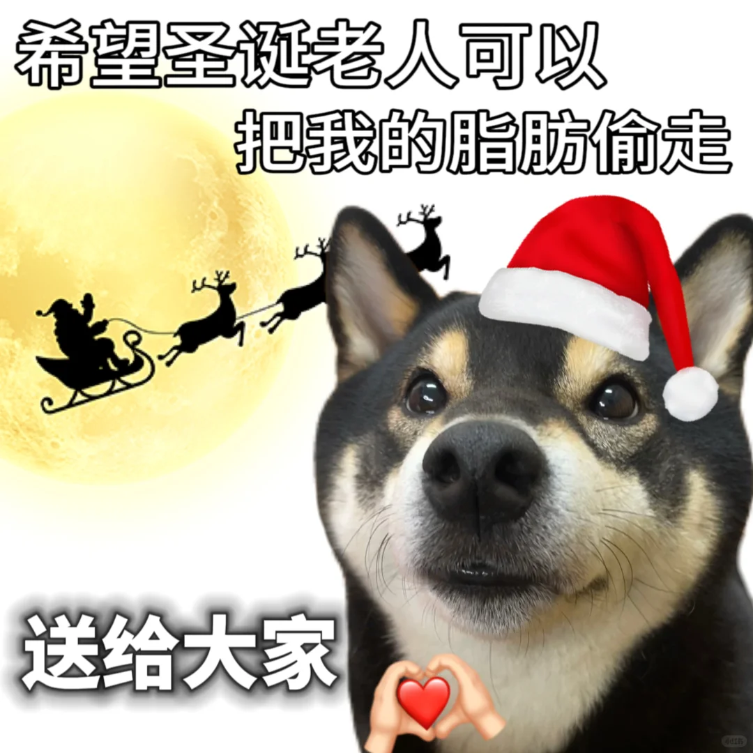 表情包|圣诞节～预备备～🎄