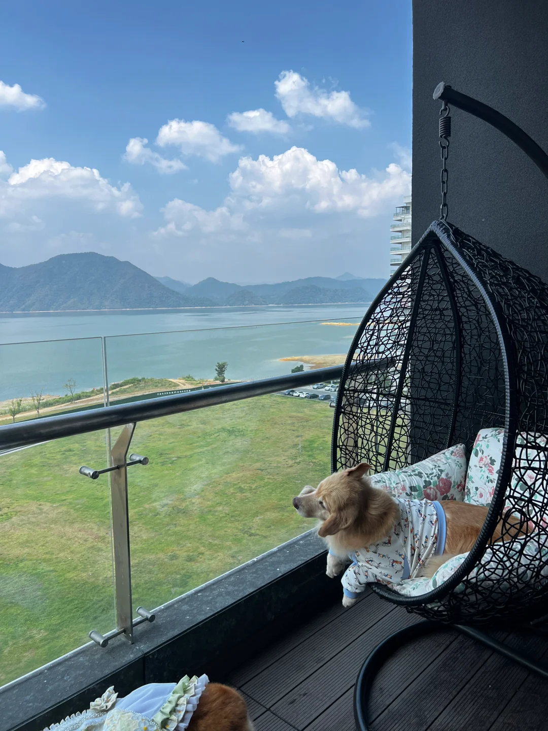 一组甩头照片～