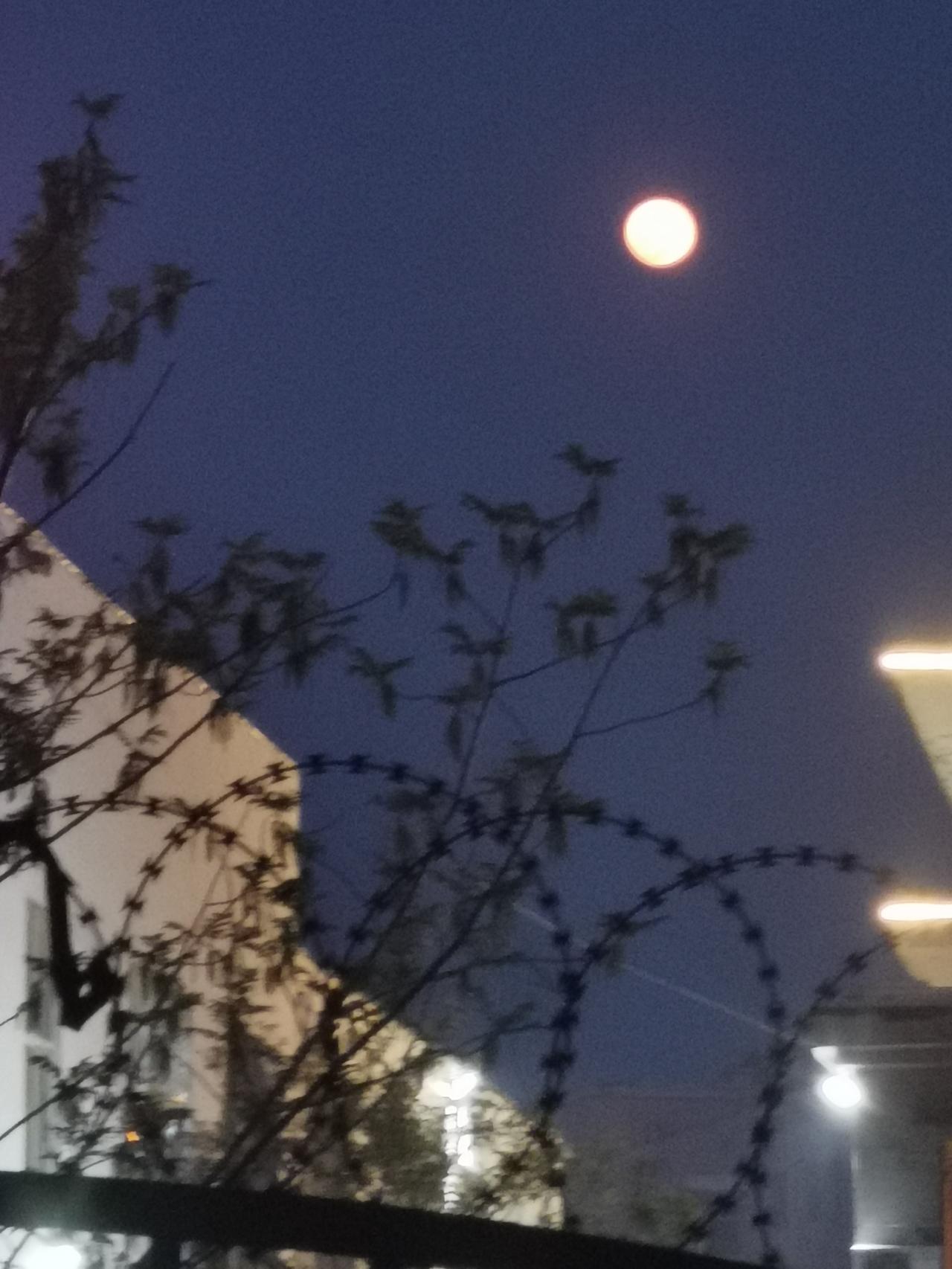 你话多说明你蠢。
你话很多说明你很蠢。
说话有三个目的：
一是让人高兴。
二是让