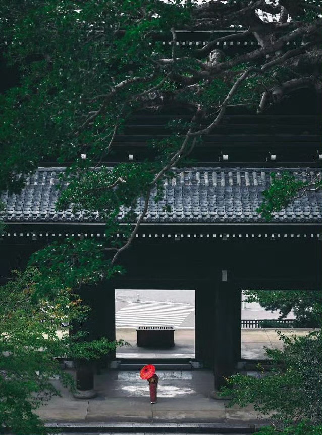 人既然如蚂蚁一样来到世上，忽生忽死，忽聚忽散，短短数十年里，该自在就自在吧，该潇