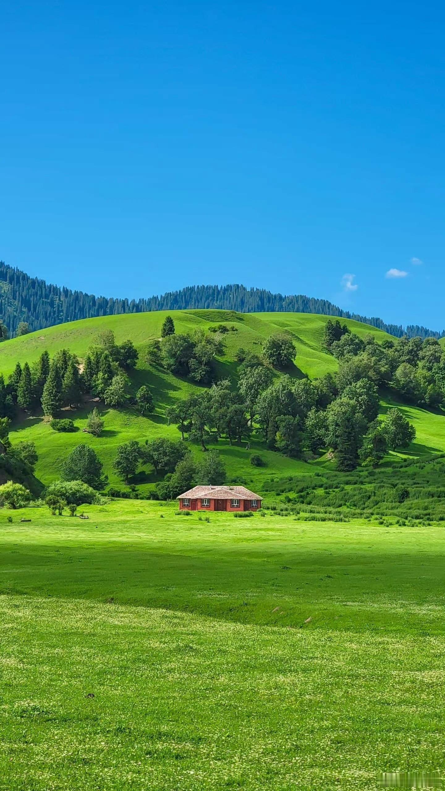 早安早安心语早安,新的一天  早安心语超话  治愈不开心人生感悟人生微语每天说早