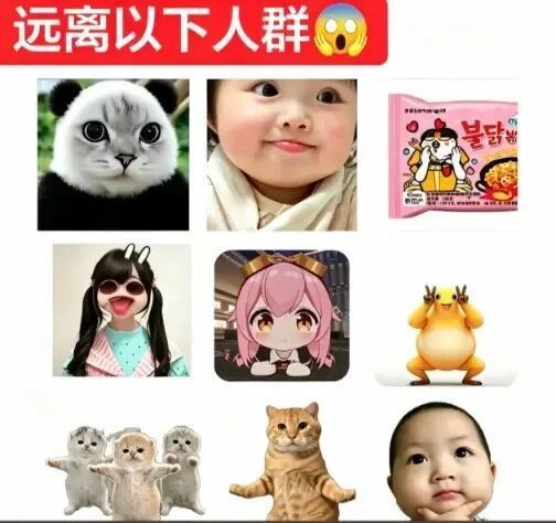燃尽了～偷点表情包回回血吧 