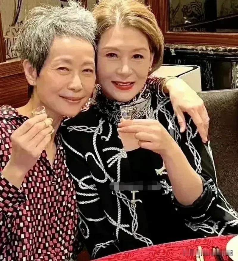 很喜欢叶童与夏文汐的颜值，哪怕是老了，她们也选择优雅的老去，比看些医美的看着更舒