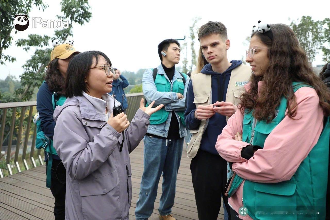【启程！相聚成都，全球8名粉丝踏上 熊猫世界探索之旅  [憧憬]】11月15日，