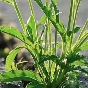 生活手记生活有万般压力，跑道有片刻自由。坚持下去，时间终会回馈你强大的内核。周六