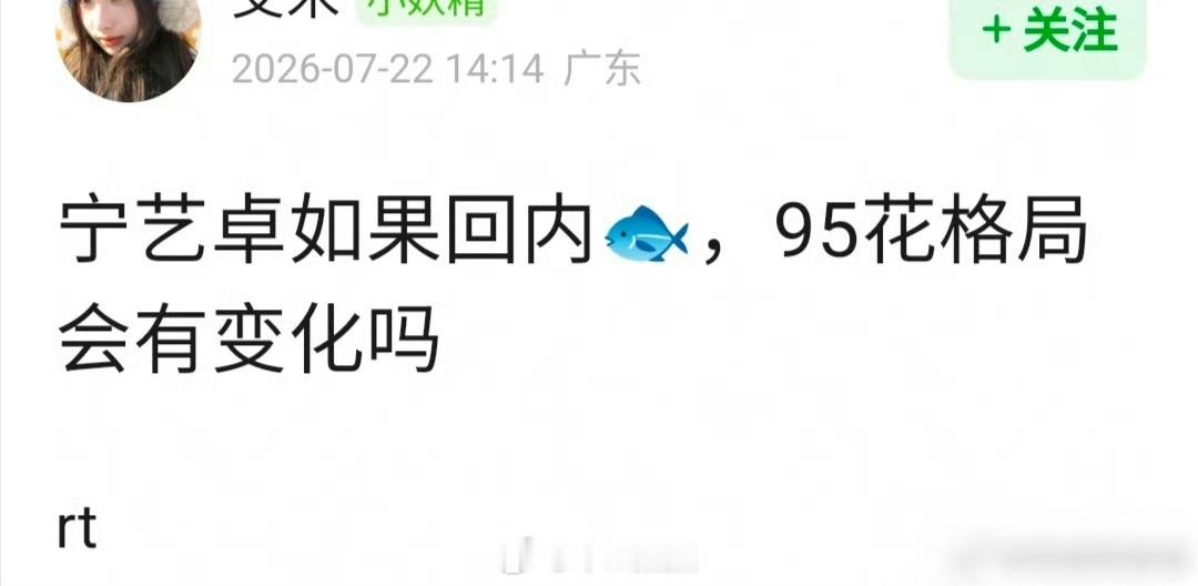 宁艺卓如果回内娱，95花🌸格局会有变化吗 