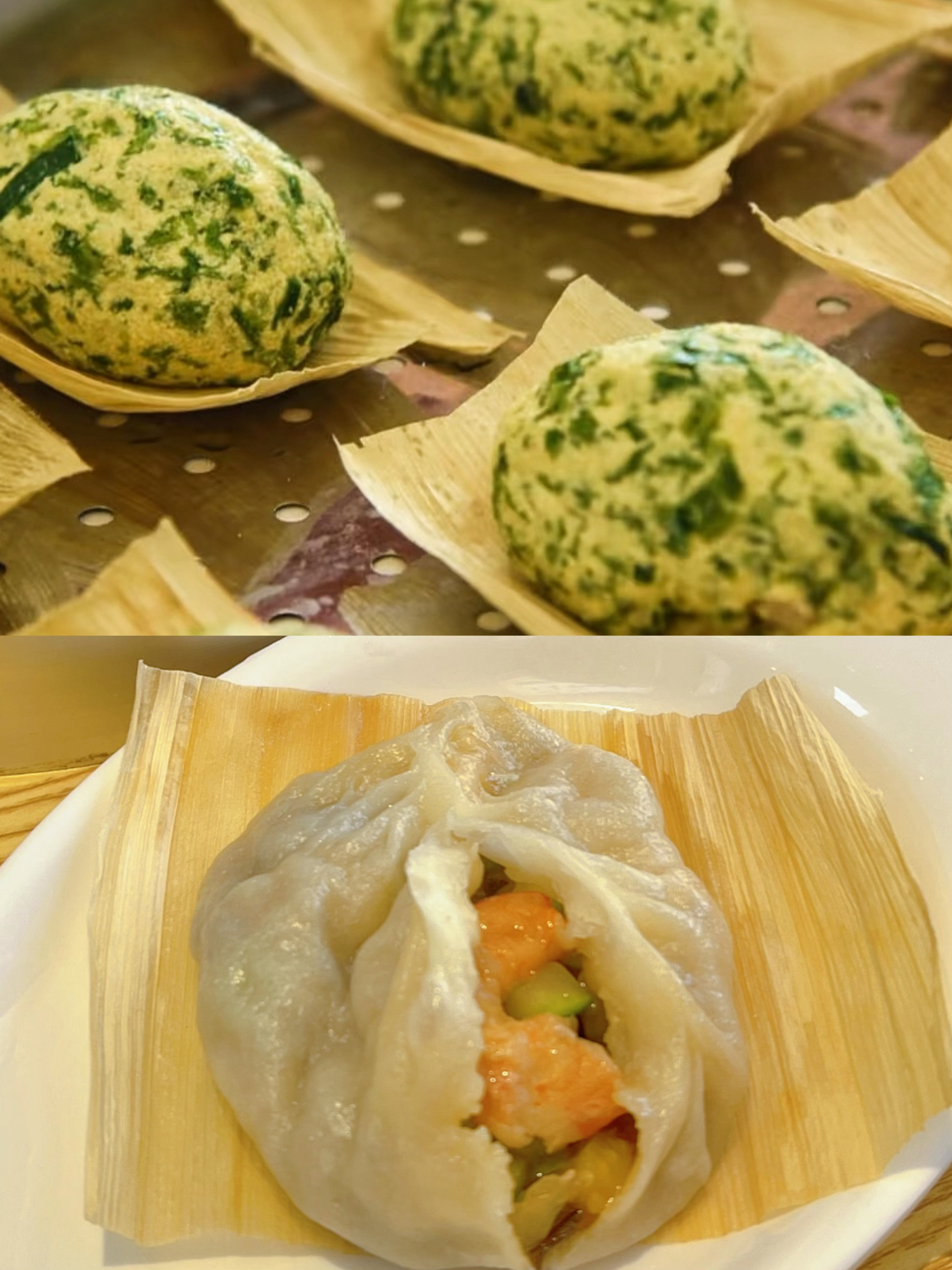 荣成是一个美丽的海滨小城，这座低调的小城，藏着众多让人心动💗的风景和美食，四月