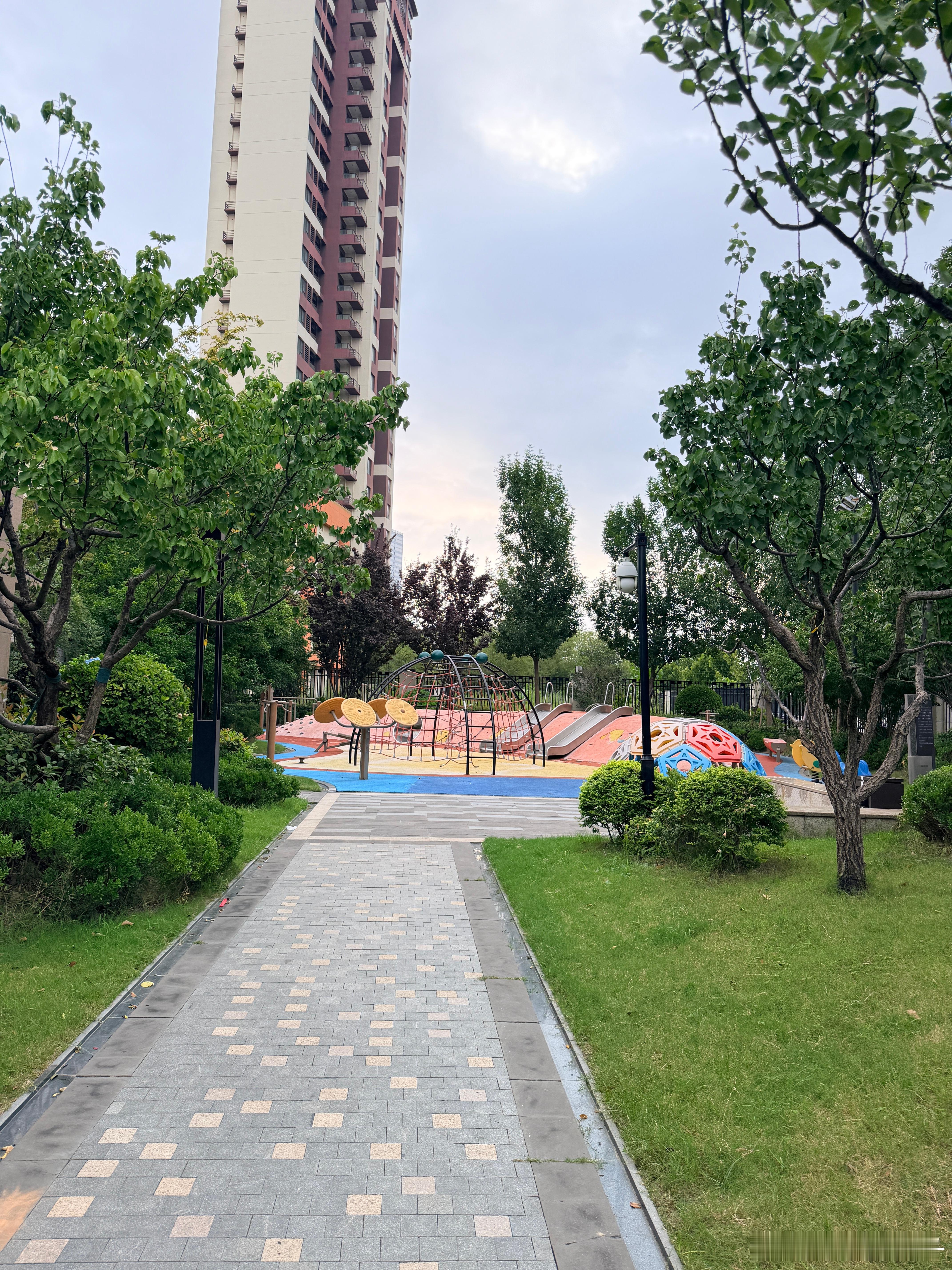 用镜头顺手记录生活 早起的一天早安 ​​​