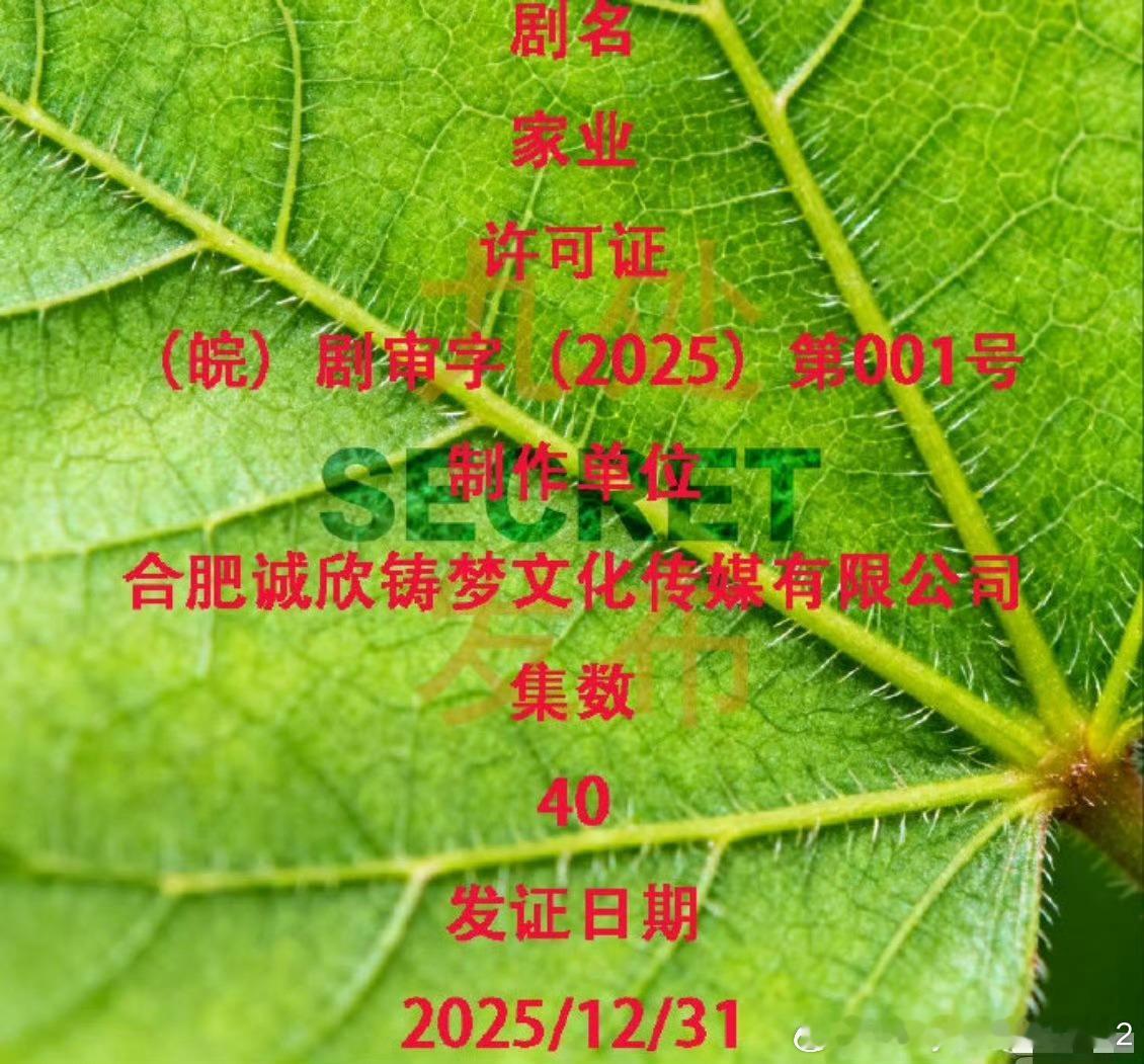 哇喔哇喔哇喔，我呢天这是什么天大的好消息啊！我们杨紫家业已经下证了啦！居然在20