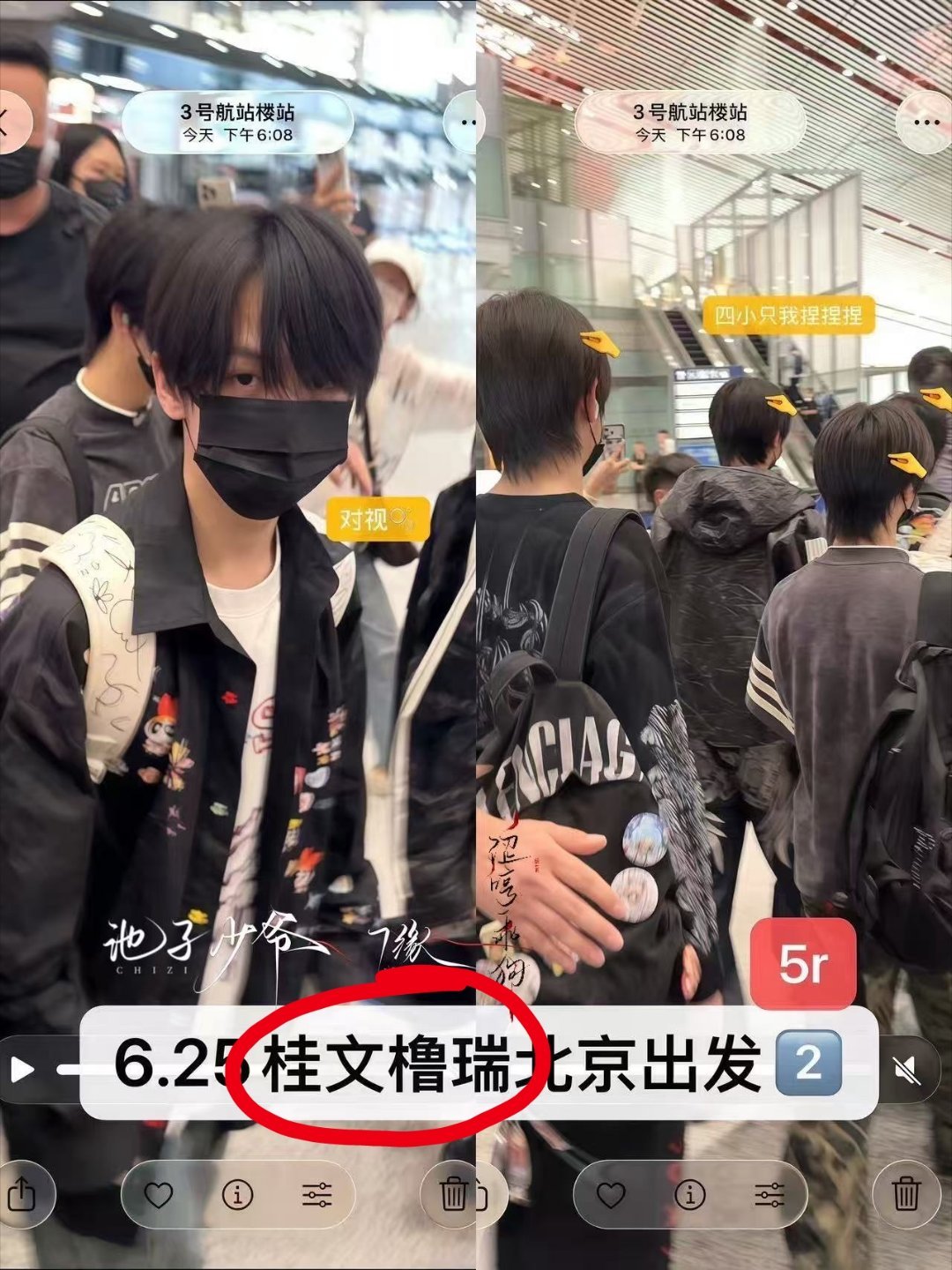 我真求你们了 