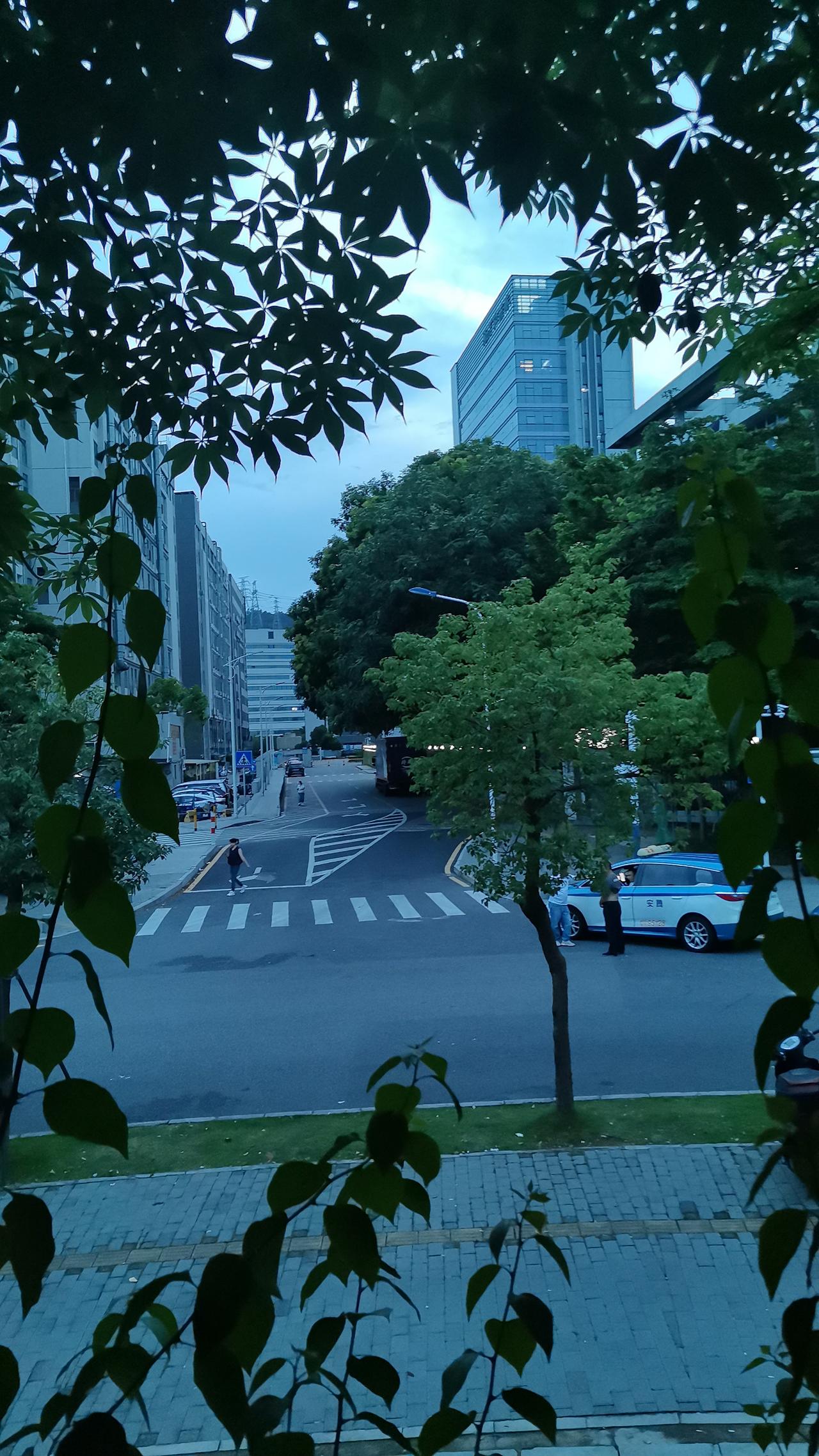 昨天送走了一位哥们。今天傍晚逛公园路过他的前公司，在树叶的缝隙里拍下了这张照片。