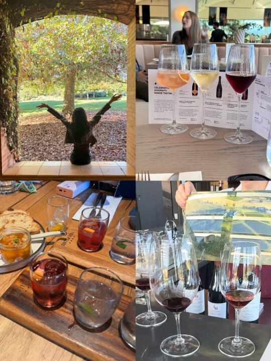 墨尔本周边酒庄一日游🍷简直是酒精快乐日
