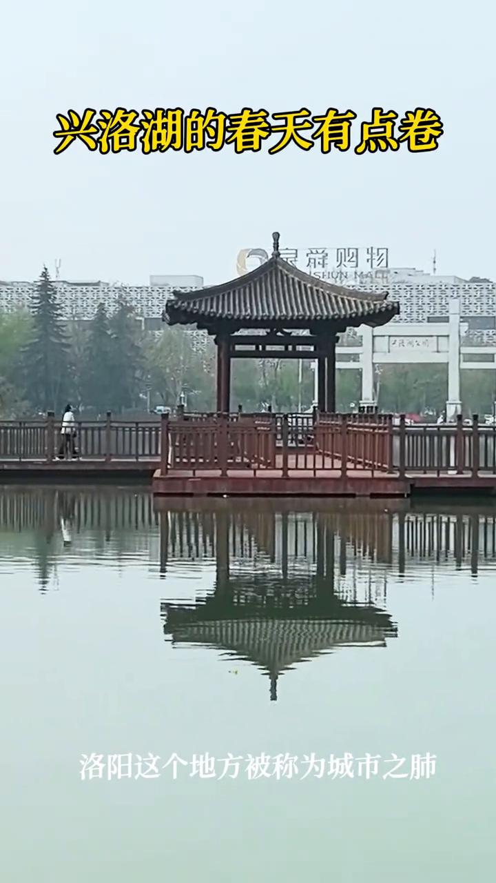 兴洛湖的春天有点卷。
洛阳这个地方被称为城市之肺。