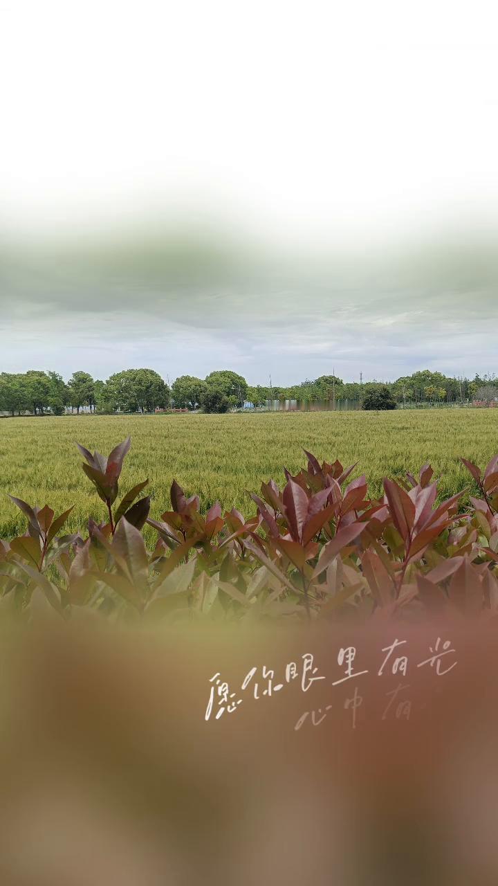 浪漫五月已经抵达，人生的故事写在四季里。愿你一路出发，一路繁华。愿你眼里有光，心