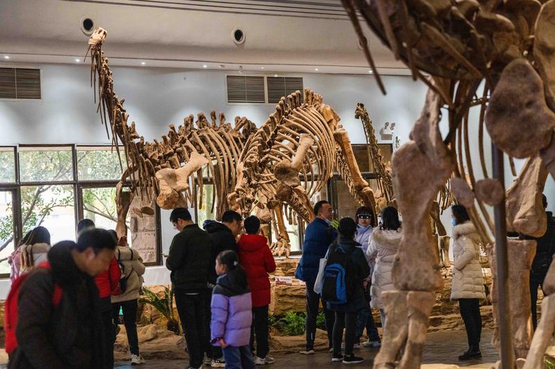 11月29日有个超戏剧性的消息，自贡恐龙博物馆等团队完成了对四川富顺五里村恐龙足