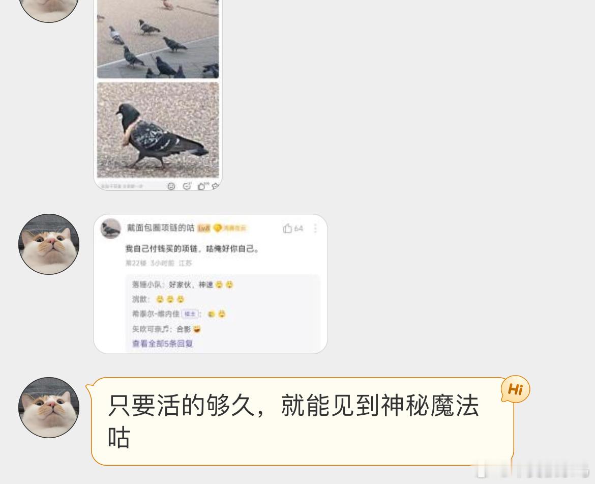 ？？？不要喂鸽子吐司面包[doge]一个沙雕的情况是：鸽子会最先啄食面包中间的柔