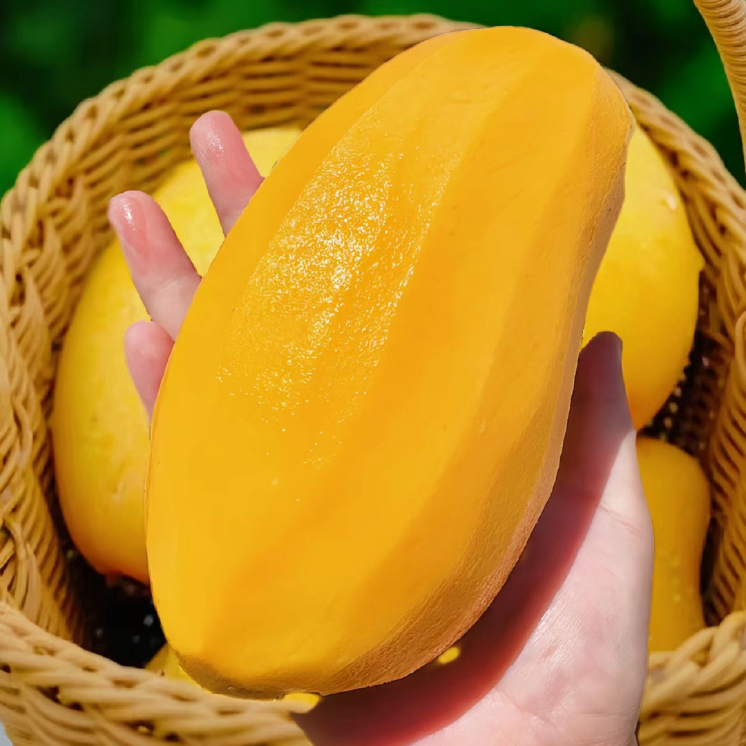 海南金煌芒，确实是名副其实的“芒果之王”。它不像普通芒果那样，入口是实实在在的肉