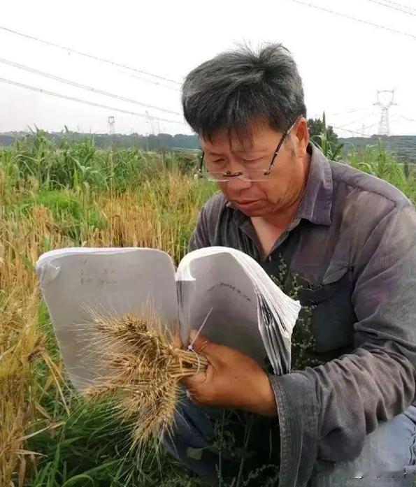像这样的专家，就算一个月多发20万，相信老百姓也愿意！

河南洛阳，一女子发视频