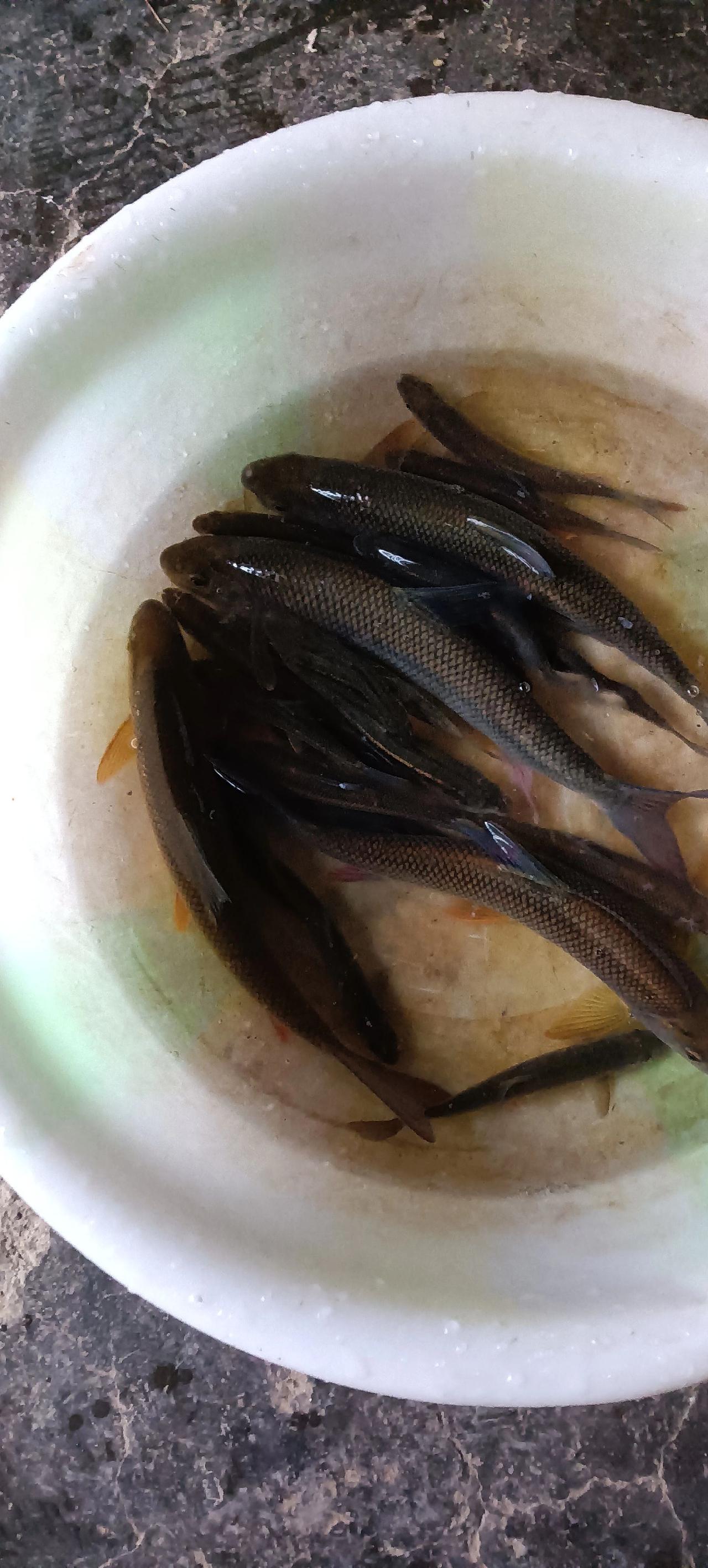 有认识的吗？
