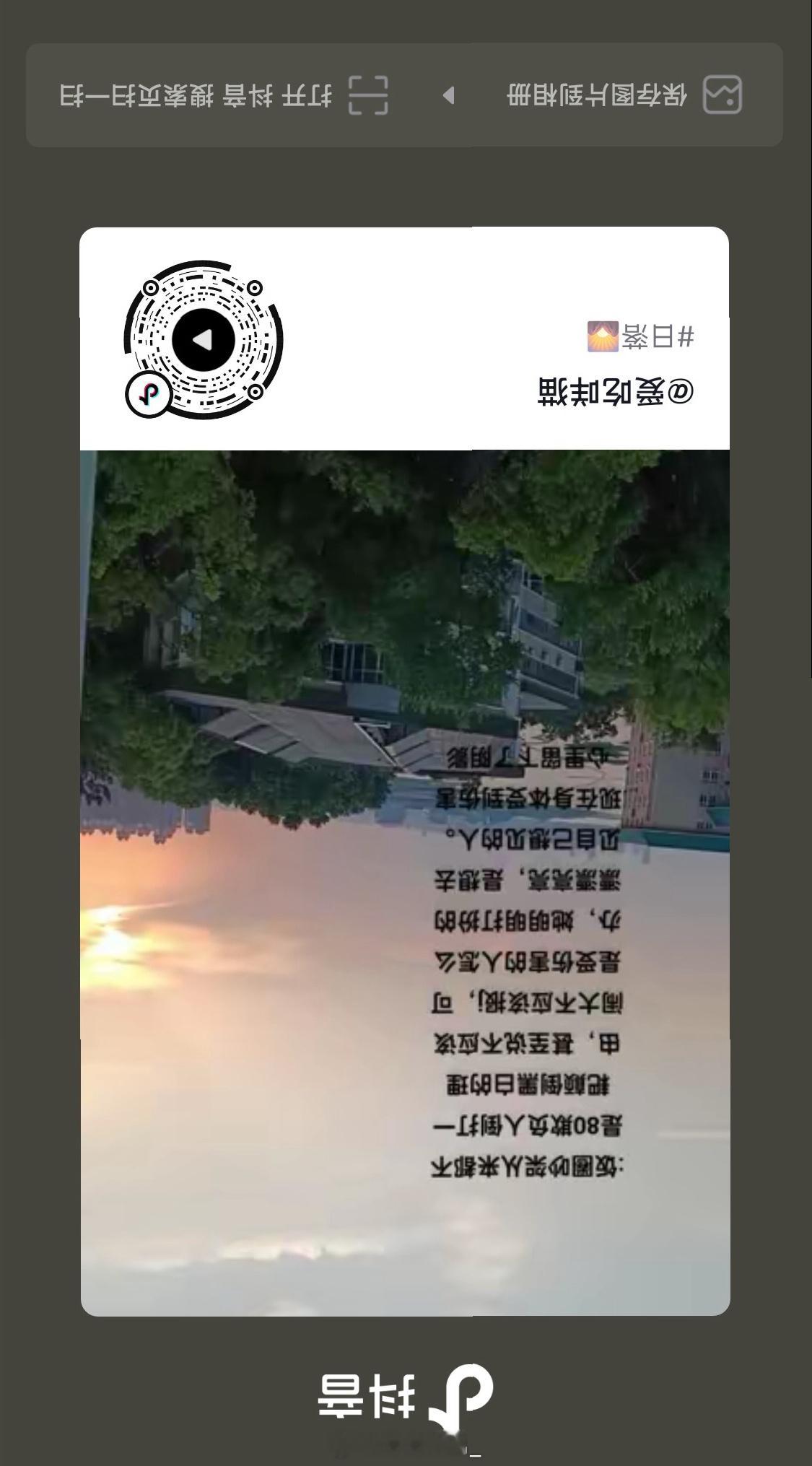 这是楼外的一个小姐姐看我们被欺负发的 