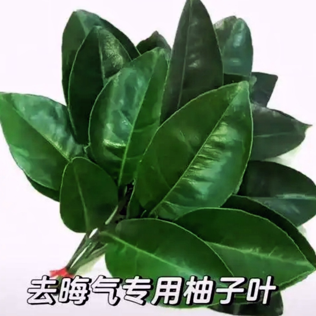 大清早的消消du :谁ceng刘宇宁谁hu。虎川地❤️。wu良人，wu热度就来c