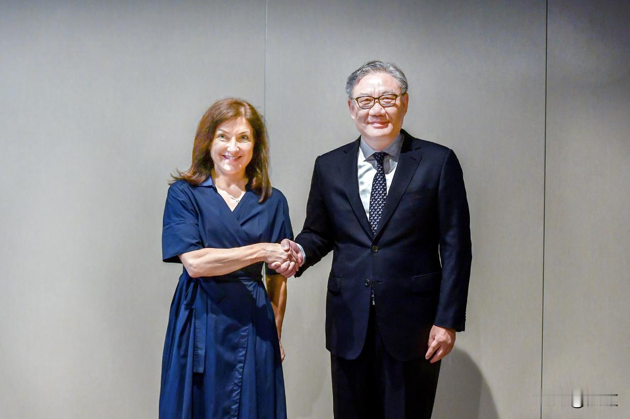 6月28号，王文涛在布鲁塞尔见了德国经济部长赖歇，谈得很深，德方当场给了中国好几