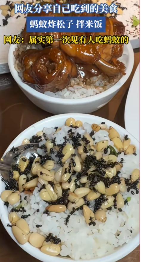 好另类台州美食，蚂蚁炸松子拌米饭！

看着密密麻麻的黑色蚂蚁，我头皮直发麻，她竟