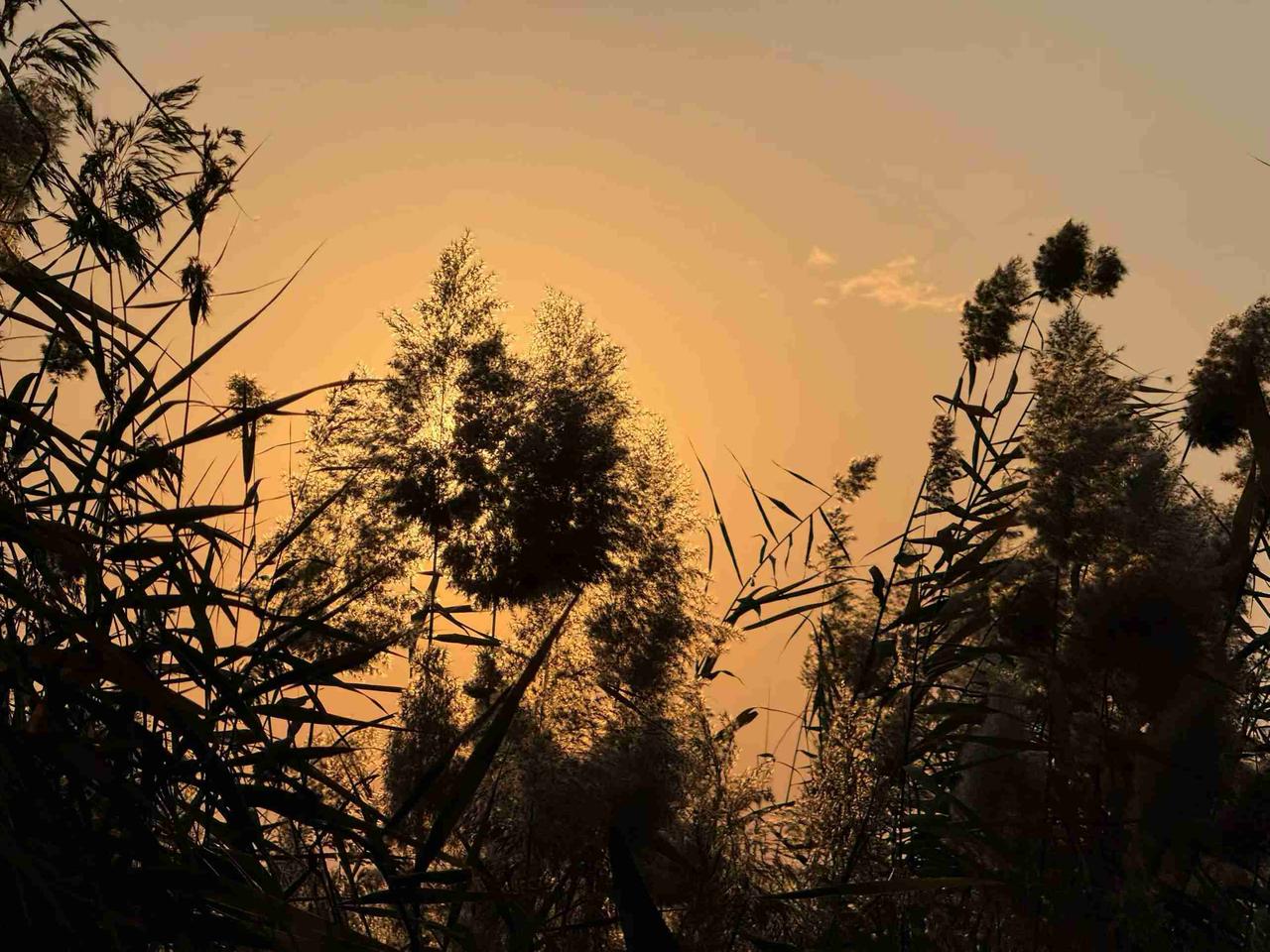 我的今日状态：🏝️旅行度假
我这里的天气：☀️晴天