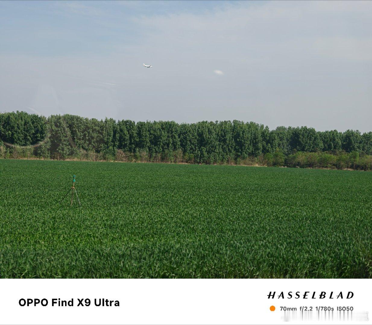 连续看了三天越看越喜欢北方的冬小麦将会在五月底六月份进入丰收季全新一代理想l9