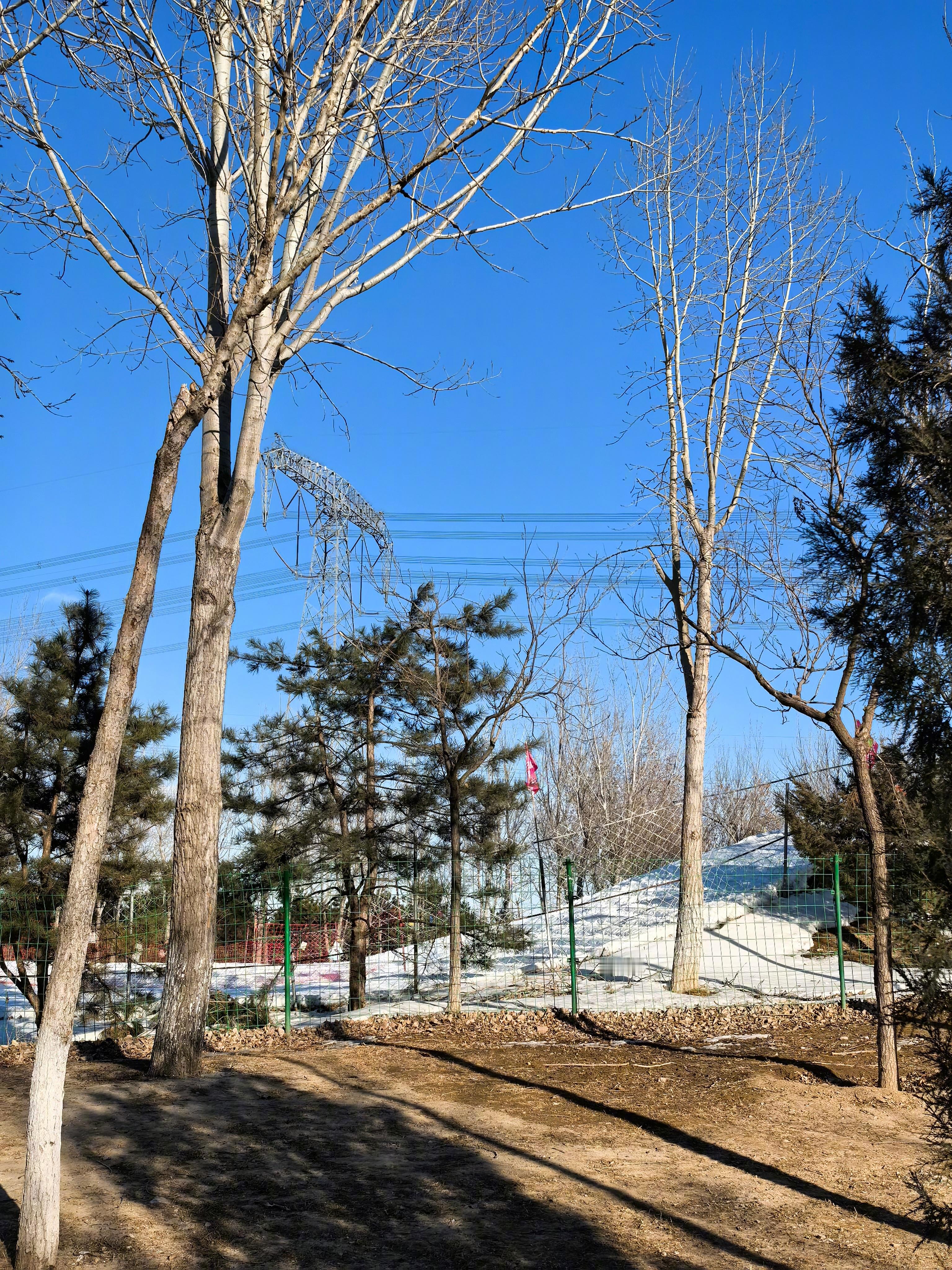 今天帝都的天真蓝 ～附近的公园里，有商家在小山坡上造了雪，很适合小朋友们玩[嘻嘻
