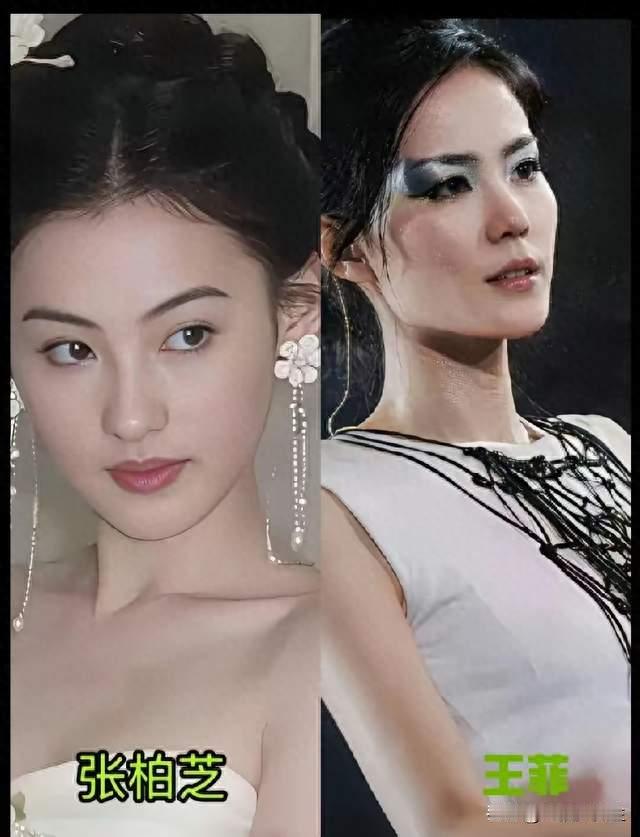 谢霆锋亏欠张柏芝无价！他欠王菲什么？凭什么说张柏芝输了？！
