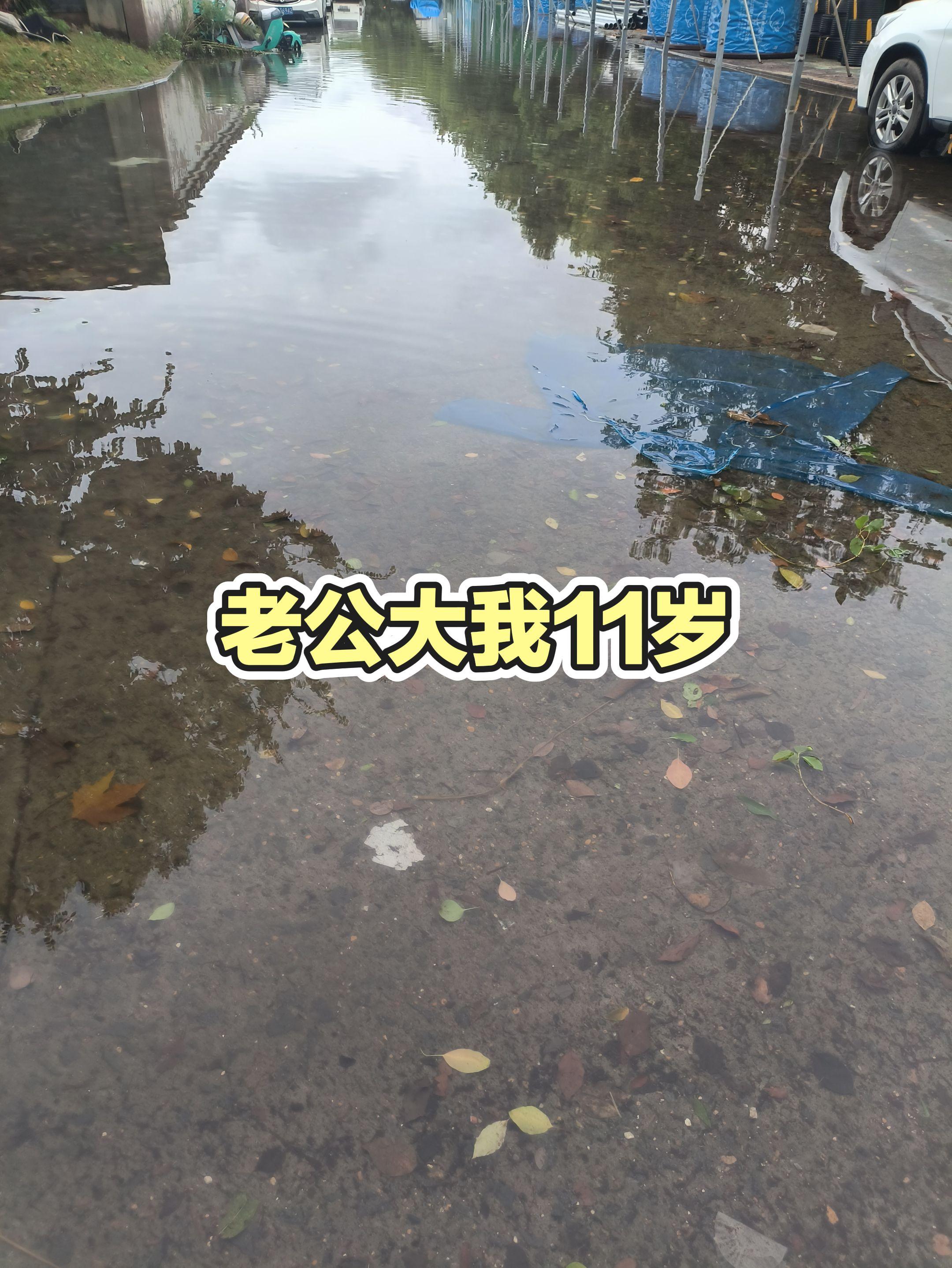 每日推文