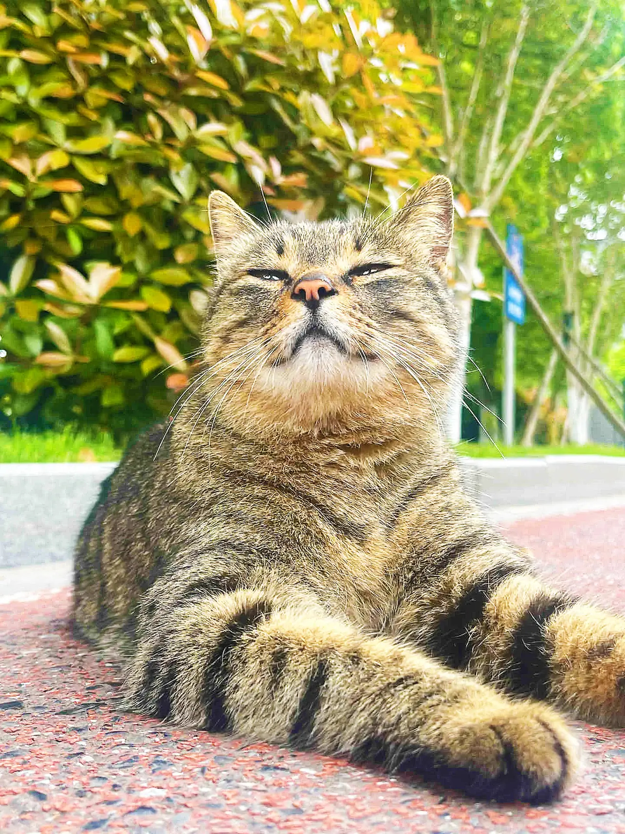 他竟然在用鼻孔老看人