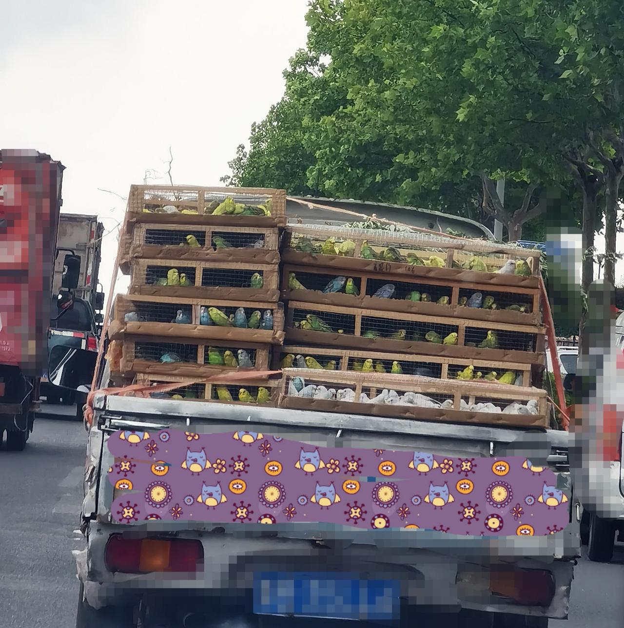 哇！满满一车哎！～～
      上边几层是彩色的，
            黄