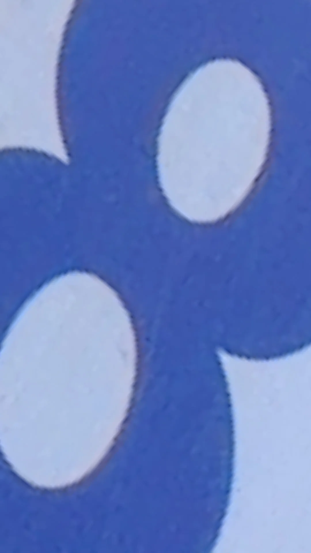 利特 💙