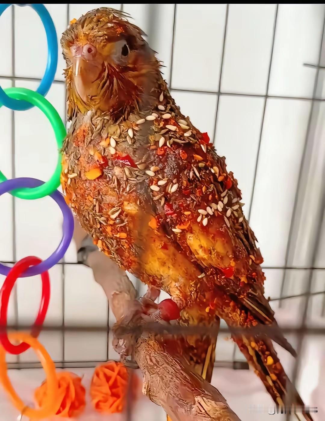 经历了什么[捂脸]